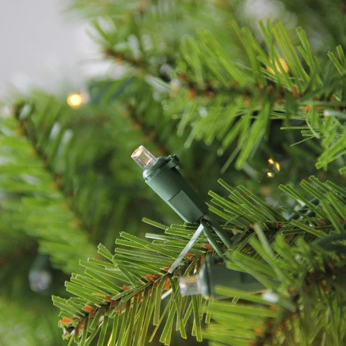 Northlight 6.5' Pre-Lit Green Medium Northern Pine Artificial Christmas Tree - Warm Clear LED Lights 4 Northlight 6.5' Pre-Lit Green Medium Northern Pine Artificial Christmas Tree - Warm Clear LED Lights - Image 2