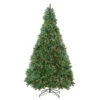 Northlight 9.5' Pre-Lit Full Buffalo Fir Artificial Christmas Tree - Clear Lights
