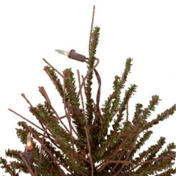 Northlight 2' Pre-Lit Medium Potted Warsaw Twig Artificial Christmas Tree - Clear Lights -Christmas Decoration Shop northlight b03909 1 71217.1608088098