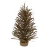 Northlight 2' Pre-Lit Medium Potted Warsaw Twig Artificial Christmas Tree - Clear Lights -Christmas Decoration Shop northlight b03909 07285.1622640326