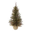 Northlight 2.5' Pre-Lit Warsaw Two-Tone Twig Artificial Christmas Tree - Clear Lights -Christmas Decoration Shop northlight b03911 32189.1605321220