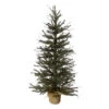 Northlight 3' Warsaw Two-Tone Twig Artificial Christmas Tree - Unlit