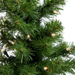 Northlight 18" Pre-Lit Medium Blackwater Fir Artificial Christmas Tree, Clear Lights -Christmas Decoration Shop northlight b83528 04 93807.1692804209