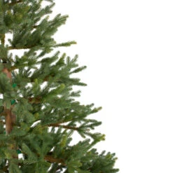 Northlight 6.5' North Pine Artificial Christmas Tree, Unlit -Christmas Decoration Shop northlight c584780 1 25514.1588371224