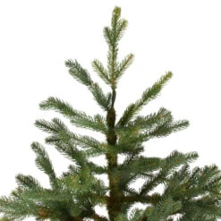 Northlight 6.5' North Pine Artificial Christmas Tree, Unlit -Christmas Decoration Shop northlight c584780 3 22342.1588371225