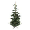 Northlight 9' Layered Nordmann Fir Artificial Christmas Tree - Unlit