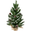 Northlight 24" Frosted Norway Pine With Pine Cones Medium Artificial Christmas Tree, Unlit -Christmas Decoration Shop northlight v03993 01 31994.1691247506