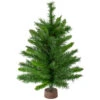 Northlight 24" Mixed Kateson Fir Medium Artificial Christmas Tree - Unlit -Christmas Decoration Shop northlight v03996 updated 04254.1628608990