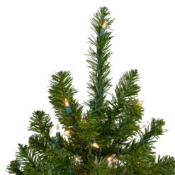 Northlight 6' Pre-Lit Medium Canadian Pine Artificial Christmas Tree, Clear Lights -Christmas Decoration Shop northlight v15883 2updated 70855.1665696782