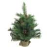Northlight 2' Royal Oregon Pine Medium Artificial Christmas Tree In Burlap Base - Unlit -Christmas Decoration Shop northlight v15918 35048.1587643015