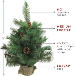 Northlight 2' Royal Oregon Pine Medium Artificial Christmas Tree In Burlap Base - Unlit -Christmas Decoration Shop northlight v15918 thumbnail 82117.1604542603