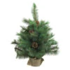 Northlight 18" Medium Royal Oregon Pine Burlap Base Artificial Christmas Tree - Unlit 1 Northlight 18" Medium Royal Oregon Pine Burlap Base Artificial Christmas Tree - Unlit -Christmas Decoration Shop northlight v15918updated 39251.1665783339