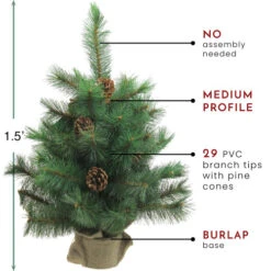 Northlight 18" Medium Royal Oregon Pine Burlap Base Artificial Christmas Tree - Unlit -Christmas Decoration Shop northlight v15923 thumbnail 87606.1604542604