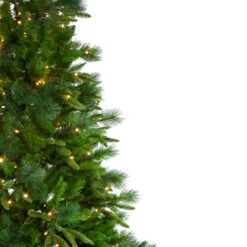 Northlight 6.5' Pre-Lit Rosemary Emerald Angel Pine Artificial Christmas Tree - Warm White LED Lights 11 Northlight 6.5' Pre-Lit Rosemary Emerald Angel Pine Artificial Christmas Tree - Warm White LED Lights -Christmas Decoration Shop northlight v27351 1 55681.1588355164