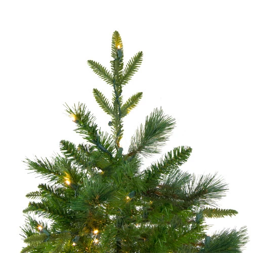 Northlight 6.5' Pre-Lit Rosemary Emerald Angel Pine Artificial Christmas Tree - Warm White LED Lights 7 Northlight 6.5' Pre-Lit Rosemary Emerald Angel Pine Artificial Christmas Tree - Warm White LED Lights - Image 5