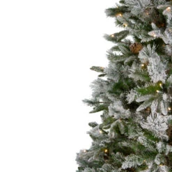 Northlight 9' Pre-Lit Flocked Rosemary Emerald Angel Pine Artificial Christmas Tree - Clear LED Lights -Christmas Decoration Shop northlight v27363 1 42921.1588369133