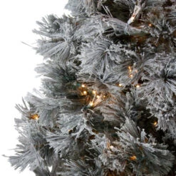 Northlight 7.5' Pre-Lit Full Black Spruce Artificial Christmas Tree - Clear LED Lights 10 Northlight 7.5' Pre-Lit Full Black Spruce Artificial Christmas Tree - Clear LED Lights -Christmas Decoration Shop northlight v27372 2 37581.1588362215