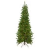 Northlight 7.5' Pre-Lit Pencil Canadian Pine Artificial Christmas Tree - Clear Lights