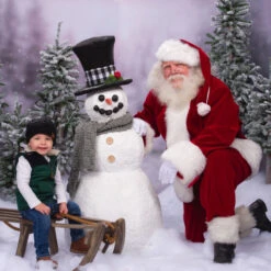 Northlight Set Of 3 Flocked Alpine Artificial Christmas Trees - Unlit -Christmas Decoration Shop northlight v27444 cxpic 83078.1676369311