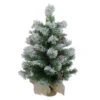 Northlight 24" Flocked Pine Artificial Christmas Tree In Burlap Base - Unlit -Christmas Decoration Shop northlight v28322 37484.1665580035