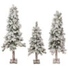 Northlight Set Of 3 Slim Flocked Alpine Artificial Christmas Trees 5' - Unlit 2 Northlight Set Of 3 Slim Flocked Alpine Artificial Christmas Trees 5' - Unlit -Christmas Decoration Shop northlight ynt775 fk updated 54616.1657129358