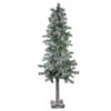 Northlight 5' Lightly Flocked And Glittered Woodland Alpine Artificial Christmas Tree, Unlit -Christmas Decoration Shop northlight yt8548 fk 15519.1588363231
