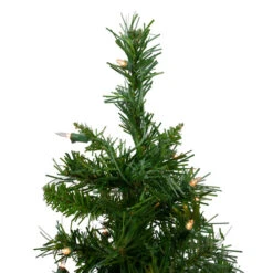 Northlight 2' Pre-Lit Medium Royal Pine Artificial Christmas Tree - Clear Lights -Christmas Decoration Shop northlight z00021 3 36827.1665610741