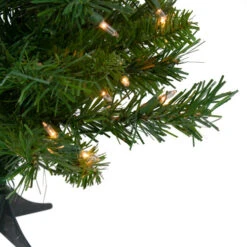 Northlight 2' Pre-Lit Medium Royal Pine Artificial Christmas Tree - Clear Lights -Christmas Decoration Shop northlight z00021 01019.1665610741