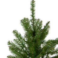 Northlight 4' Northern Pine Medium Artificial Christmas Tree, Unlit -Christmas Decoration Shop northlight z84469 2update 92168.1665087479