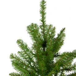 Northlight 10' Full Northern Pine Artificial Christmas Tree - Unlit -Christmas Decoration Shop northlight z84652 2 59361.1664380277