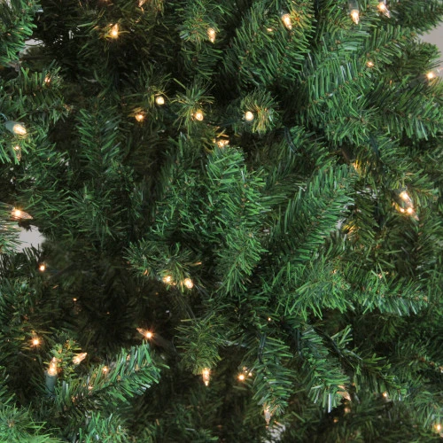 Northlight 9.5' Pre-Lit Full Buffalo Fir Artificial Christmas Tree - Clear Lights 4 Northlight 9.5' Pre-Lit Full Buffalo Fir Artificial Christmas Tree - Clear Lights - Image 2