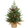 Christmas Central 2' Pre-lit Potted Nordic Spruce Artificial Christmas Tree, Warm White LED Lights -Christmas Decoration Shop pens1 355 20 b1 40032.1665519662