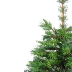 Northlight 3' Potted New Carolina Spruce Medium Artificial Christmas Tree - Unlit -Christmas Decoration Shop sizueobn2mf7pj7trpis4u3dkcb3ettz 19805.1665610422
