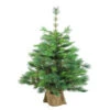 Northlight 3' Potted New Carolina Spruce Medium Artificial Christmas Tree - Unlit -Christmas Decoration Shop vcpb9nvhitmvkbd1cvp3edclacwlzbh7 43969.1588353913